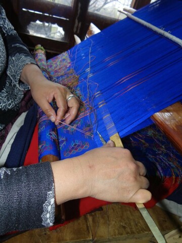 case studies bhutan 2